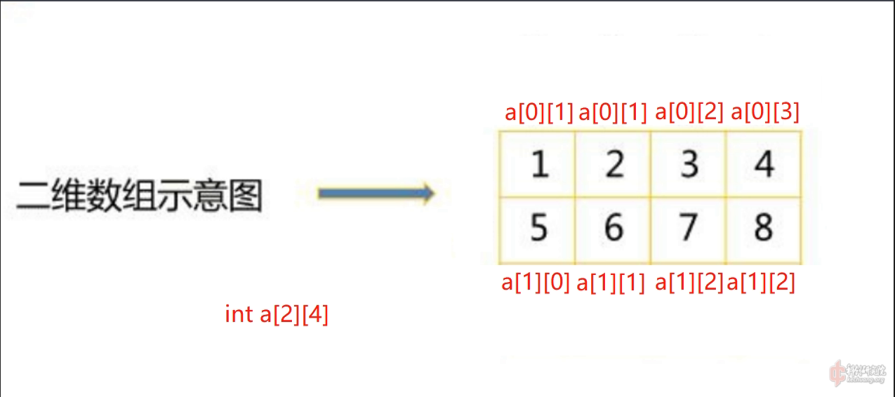 2维数组.png