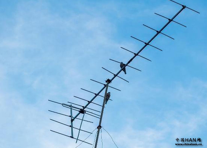 Short_Wave_Antenna_0.jpg
