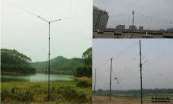 什么是偶极天线？