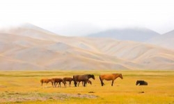 尘封的历史—前苏联无线电侦察站